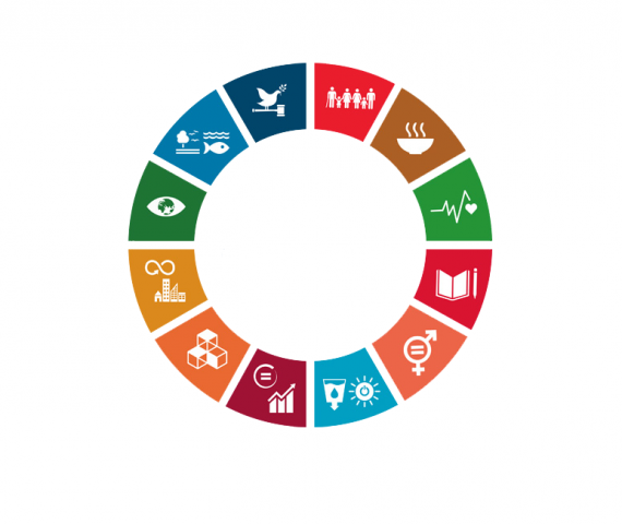 Programa para el fortalecimiento de los Objetivos de Desarrollo Sostenible Agenda 2030 – Escuela de Estudios Internacionales