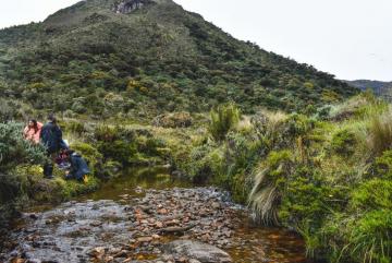 Monitoreo y conservación de recursos naturales del área Maylas – Culebrilla – Patacocha para la declaratoria como área protegida y reserva hídrica
